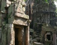 Angkor142