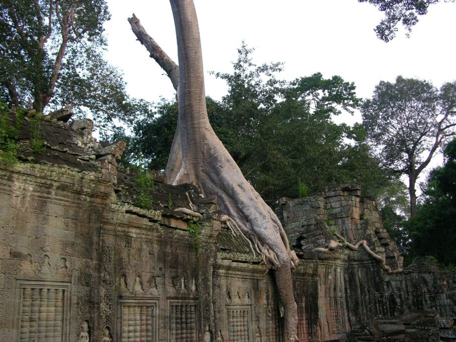 Angkor121