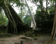 Angkor130