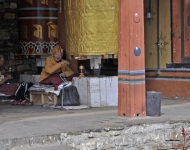 Bhutan2016 107MemorialChorten
