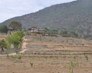 Bhutan2016 253ChimiLhakhang