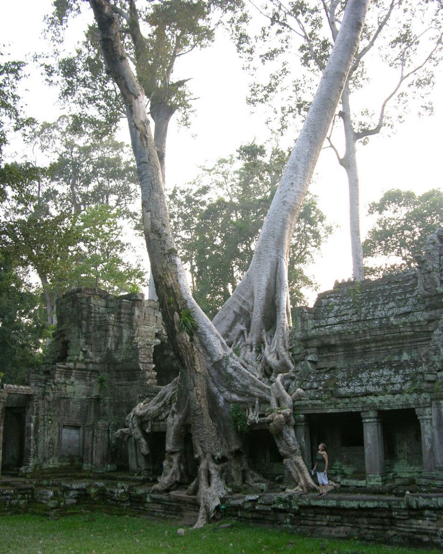 Angkor119